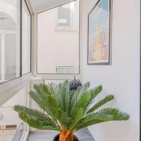 Heart Of 3-br Only 100m From The Palais Des Festivals Apartament *